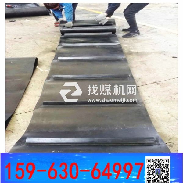 棄鐵除鐵器皮帶 除鐵器環(huán)形帶b=1000 國(guó)龍-心里有陽(yáng)光